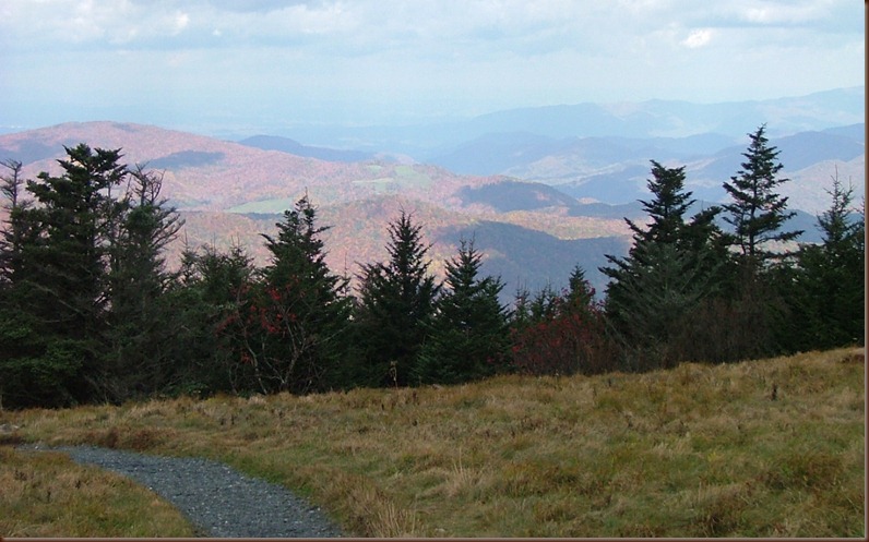 view from grassy bald