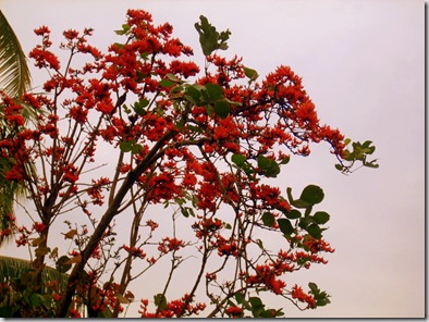 DSCN1478