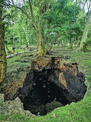 Discovering the Wonders of Monfort Bat Sanctuary in Mindanao, Philippines