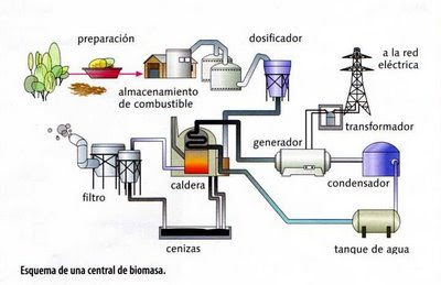 Centrales de biomasa