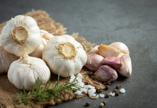 Garlic