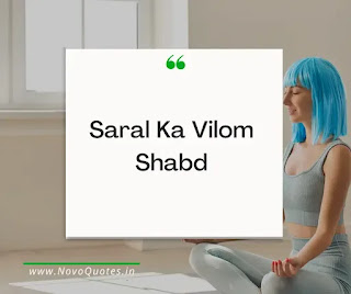 Saral Ka Vilom Shabd