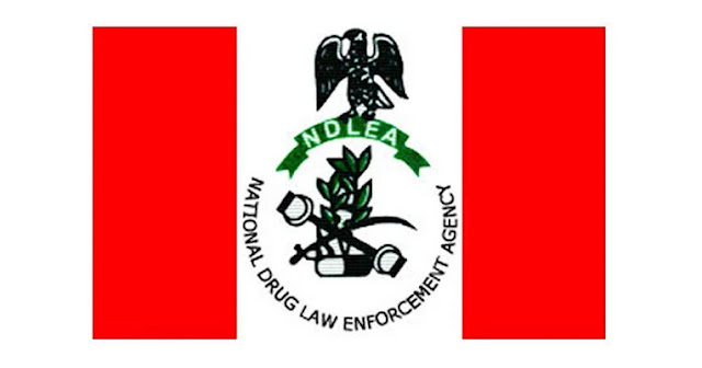 NDLEA Arrests 225 Suspected Drug Traffickers, Seizes 800,000kg in Kwara