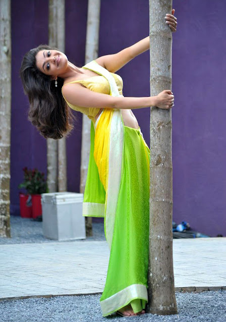 Actress Kajal Agarwal Photos in Saree