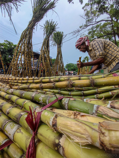 Street sugarcane seller
