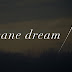 Insane Dream - Aimer Lyrics