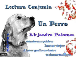 http://viajagraciasaloslibros.blogspot.com.es/2016/01/sorteo-y-lectura-conjunta-un-perro.html