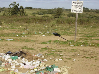 Pinheirenses irão lançar Campanha de Conscientização sobre o descarte irregular de lixo