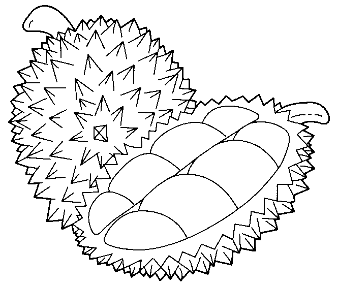 Mewarnai Gambar Durian