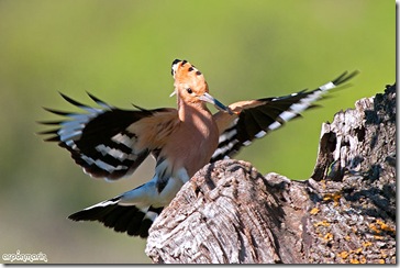 Secuencia de vuelo