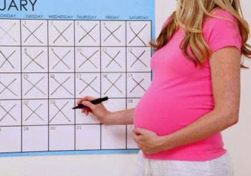 Ivf Pregnancy Calculator And The 2 Week Gap When Is My Baby Due