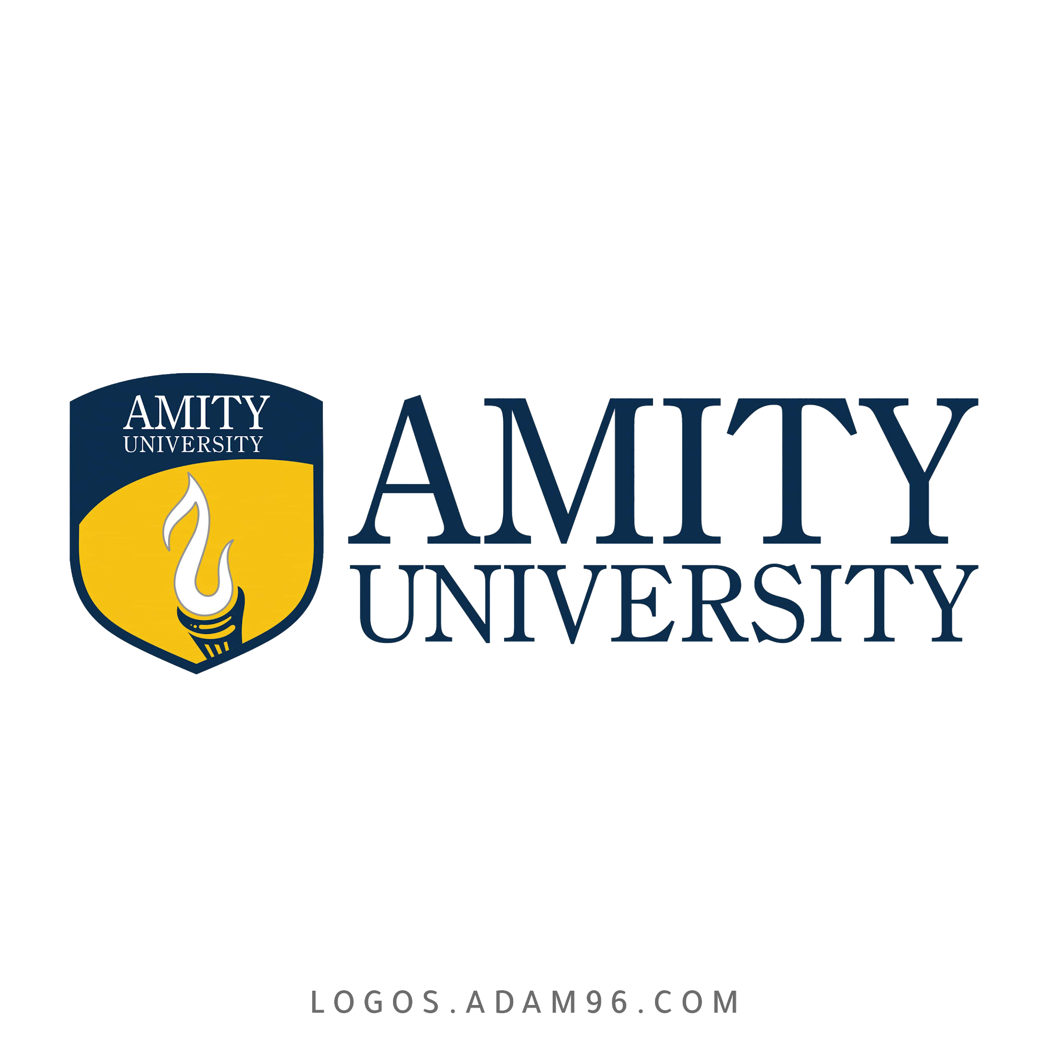 Amity University Logo PNG Download Original Logo Big Size