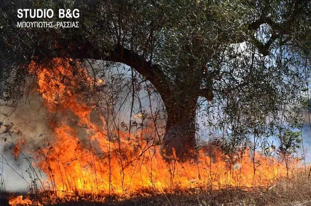 Σε υψηλό κίνδυνο εκδήλωσης πυρκαγιάς σήμερα και η Αργολίδα 