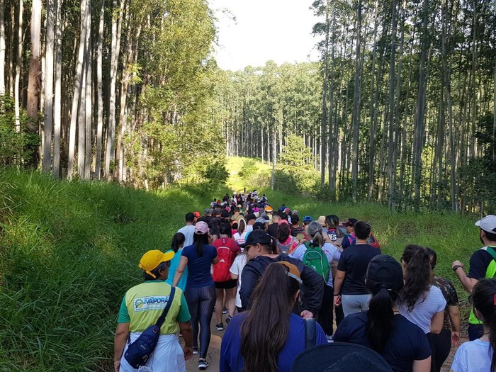 Maio tem feiras, festivais, trilhas na natureza e cavalgadas no Paraná