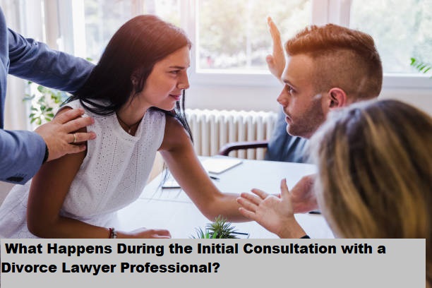 What Happens During the Initial Consultation with a Divorce Lawyer Professional?