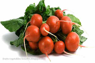 benefits_of_eating_radishes_fruits-vegetables-benefits.blogspot.com(benefits_of_eating_radishes_4)