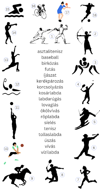 Sports vocabulary with text and pictures