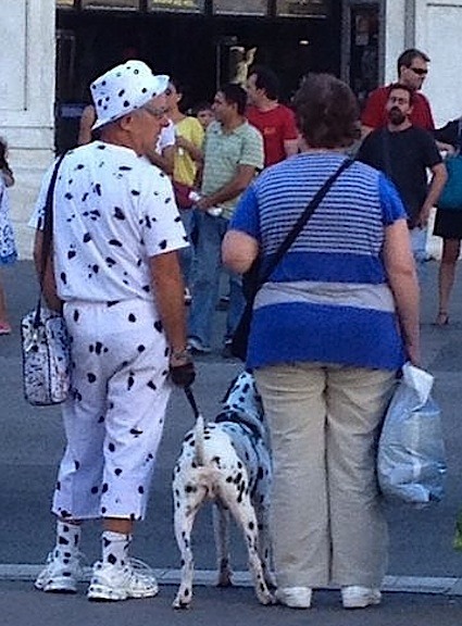 dalmatiians