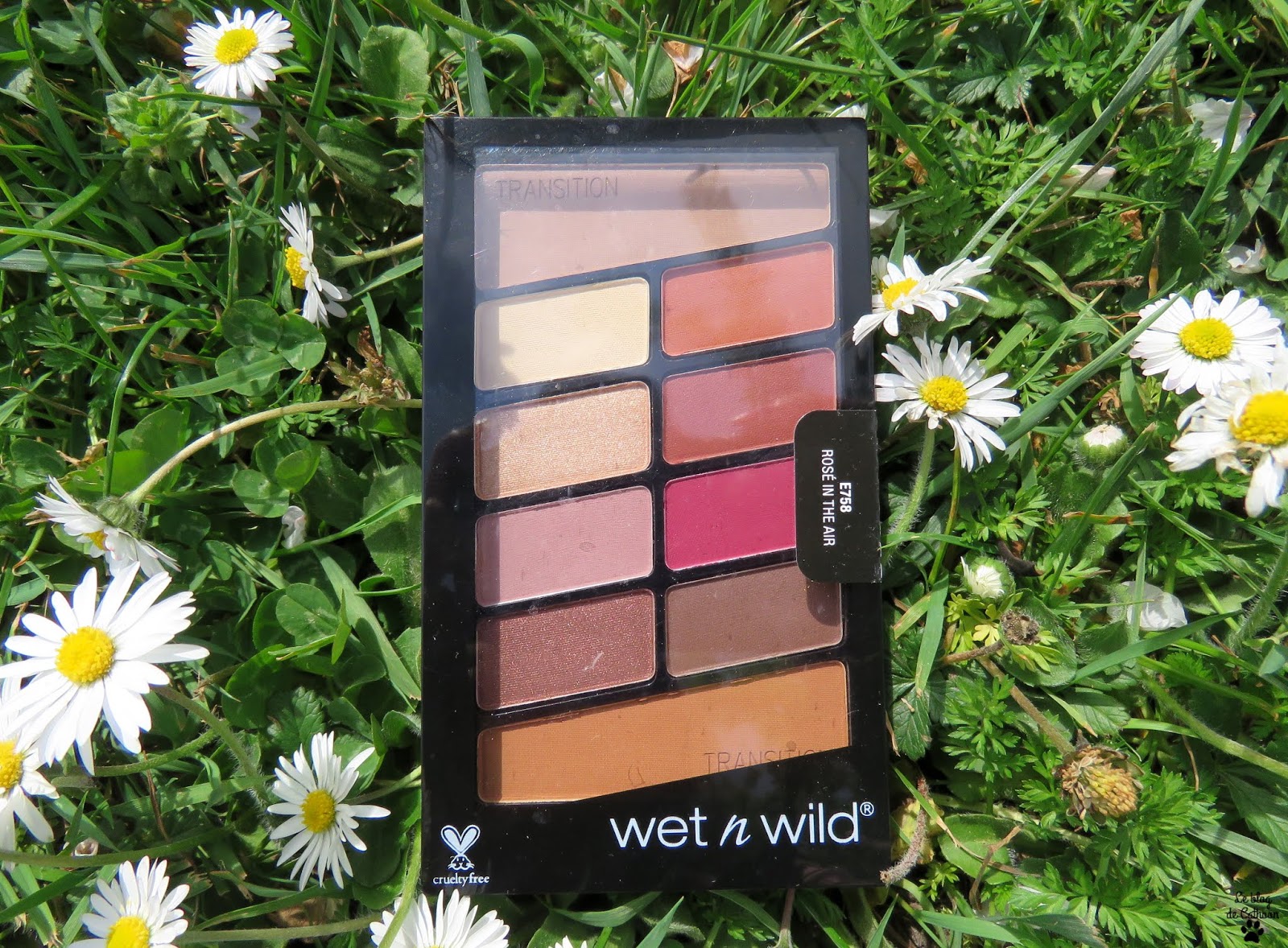 Rosé in The Air - Palette Fards à Paupières - Wet n Wild