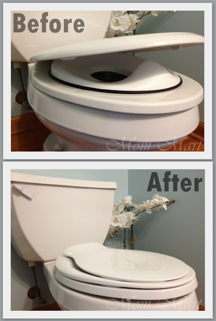 Potty Training with the Kohler Transistions Toilet Seat