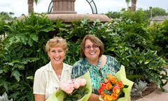 Becky and me Roses