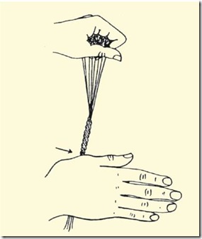 clip_image002