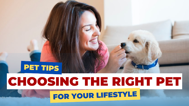 Choosing the Right Pet for Your Lifestyle