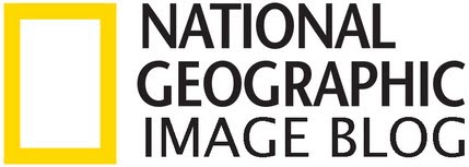 Ngimage