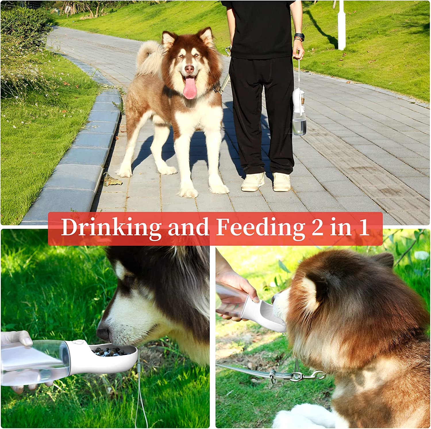 Dog Water Bottle with Food Container