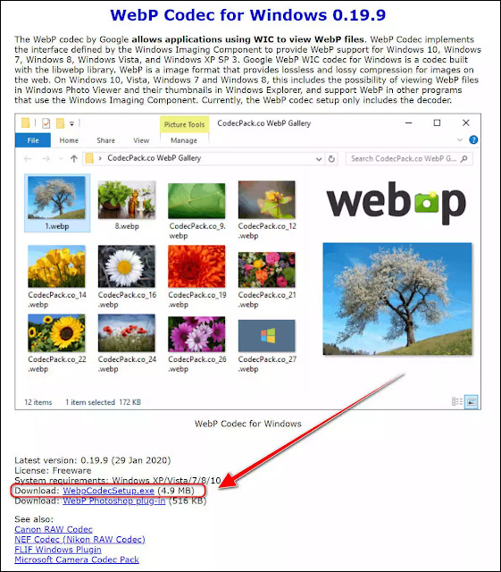 快速瀏覽、轉換 WebP 圖檔的建議方法( WebP 影像延伸模組、WebP Codec for Windows、HoneyView、File Converter、WebP image converter ) )
