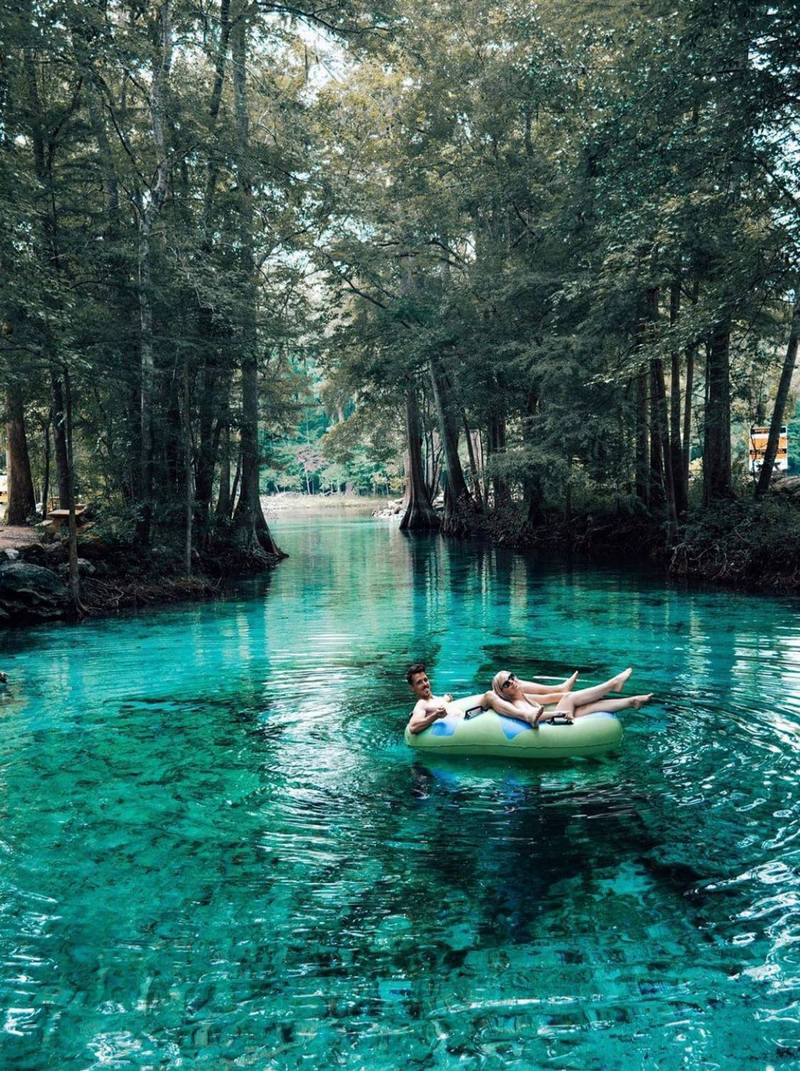 ginnie springs; ginnie springs fl; ginnie springs florida; ginnie pig; ginnie; ginnie spring; ginnie springs in florida; ginnie springs camping; ginnie spring florida; ginnie springs state park; scuba diving ginnie springs; ginnie springs park; diving ginnie springs; high springs fl ginnie springs; ginnie springs river; ginnie pigs; camping near ginnie springs; ginnie springs address; ginnie springs campsites; tubing springs in florida; santa fe river tubing; camping ginnie springs; florida springs tubing; ginnie springs dive; high springs florida camping; how deep is ginnie springs; ginnie springs cave diving;