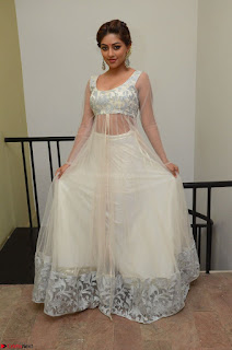 Anu Emmanuel in a Transparent White Choli Cream Ghagra Stunning Pics 031.JPG