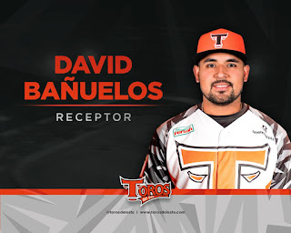 Toros anuncian contratación de receptor importado