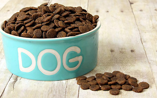 Best Dry Dog Food for Your Dog