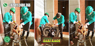 Kambing Guling Ciwidey Bandung,Kambing Guling Ciwidey,Kambing Guling,