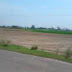 Padgha Highway 5.5 Acres Plot For Joint Venture/Sale at Near Industrial looms factory,Padgha Highway, Mumbai,Maharastra 