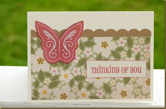 mayberry butterfly