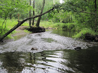 Rehoboth Land Trust