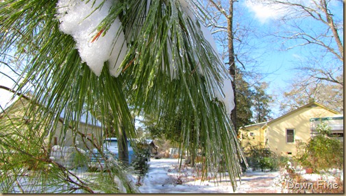 snow and ice_031