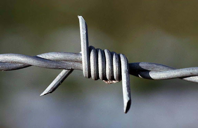 Barbed Wire7