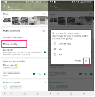 Begini Cara Menyembunyikan Foto dan Video WhatsApp dengan  Fitur Visibilitas Media Di Galeri Android