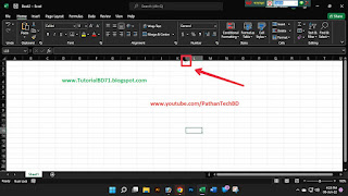 Various of Excel Mouse Pointer - 05 (TutorialBD71 and PathanTechBD).jpg