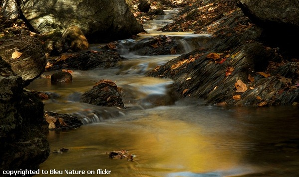 bleu nature flickr gold river