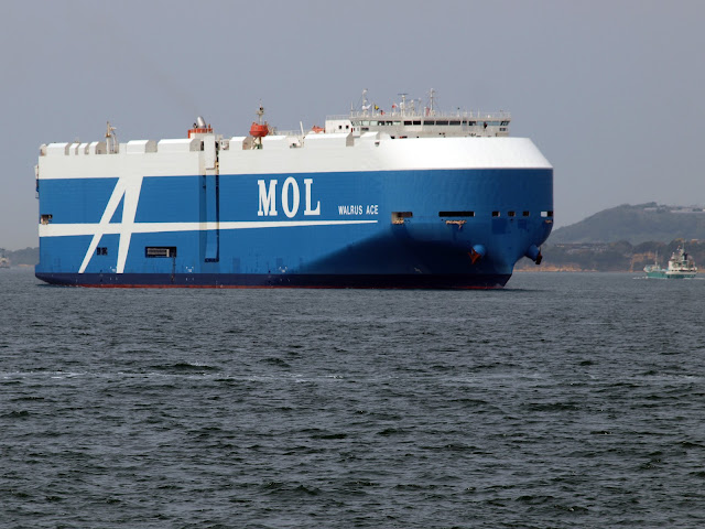WALRUS ACE Vehicle Carrier ( RORO Ship ) in the Kanmon Straits of Japan
