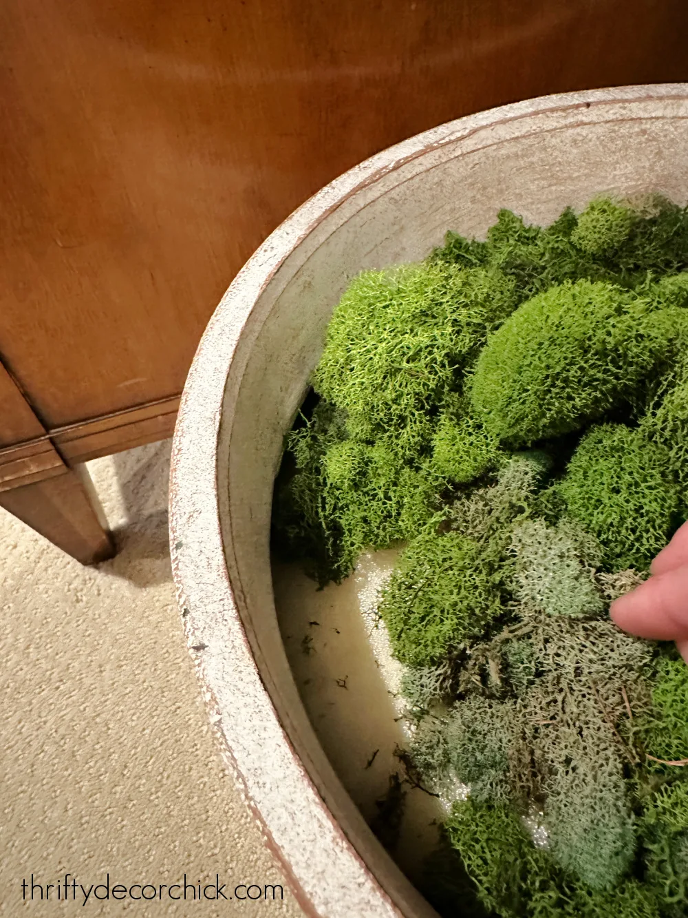 expanding foam in planter