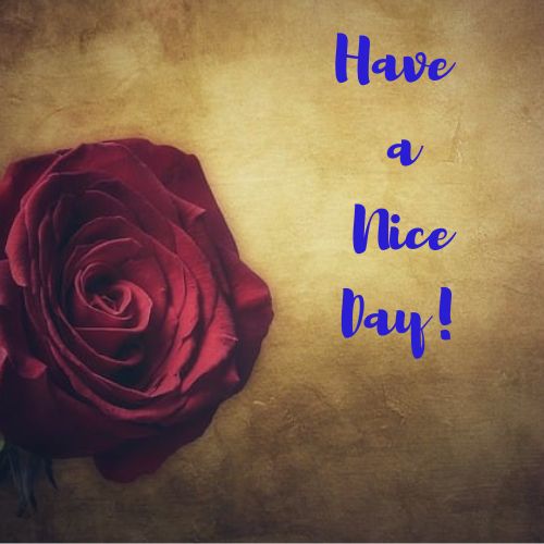 Have a Nice Day Images with Flowers