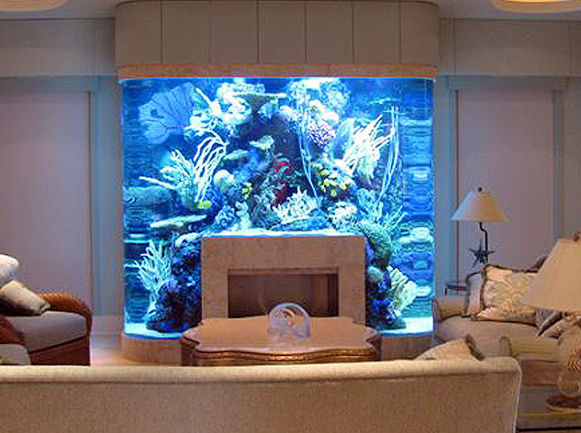 No Room For An Aquarium? Think Again. 20 Unusual Places In Your Home