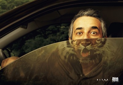 zootiger-550x379
