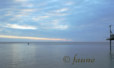 North Currituck Sound after Hurricane Irene