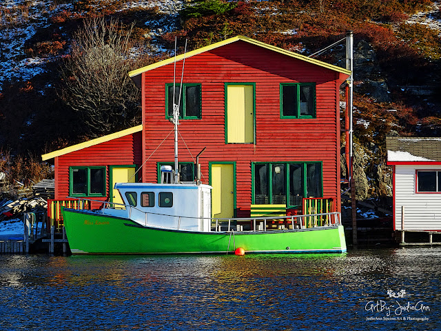 Quidi Vidi